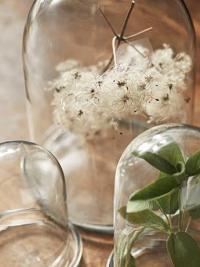Specimen Jars 2