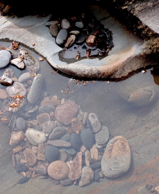 Pebble puddle Pebble puddle