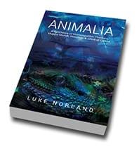 Animalia Animalia