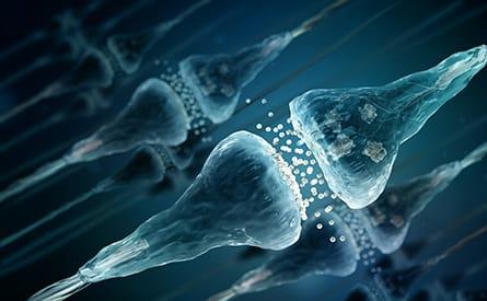 Serotonin Serotonin